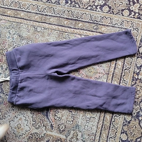 Little rowe (Jackson rowe) fleece lined joggers bnwot 4t - Picture 2 of 2